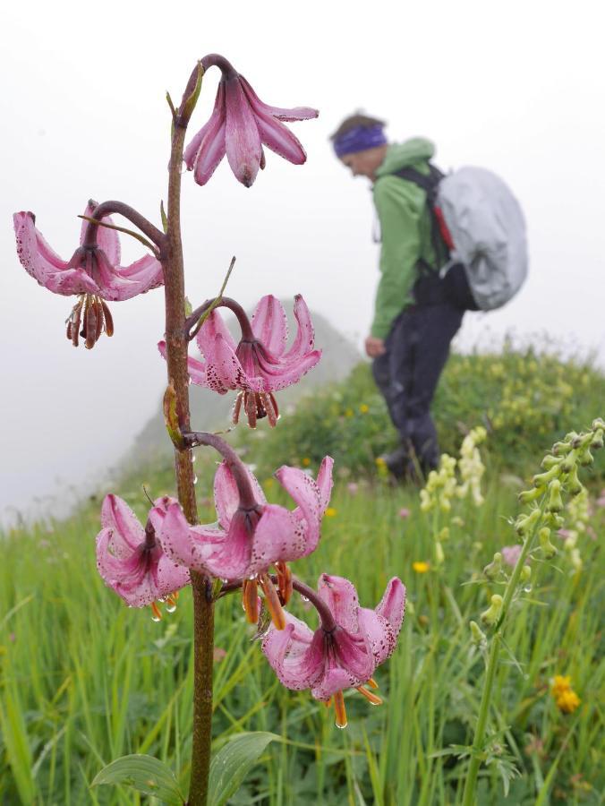Urlaub Bei Moses Apartman Schoppernau Kültér fotó